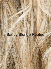 Load image into Gallery viewer, Delight | Changes Collection | Heat Friendly