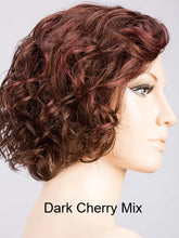Load image into Gallery viewer, Turn | Changes Collection | Synthetic Wig