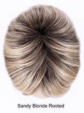 Load image into Gallery viewer, Voice