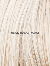 Load image into Gallery viewer, Voice