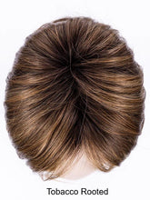 Load image into Gallery viewer, Voice