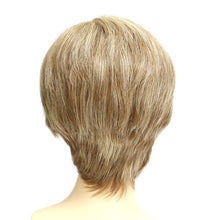 Load image into Gallery viewer, 113 Sunny - Mono Top Machine Back Wig - Human Hair Wig