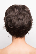 Load image into Gallery viewer, Casey