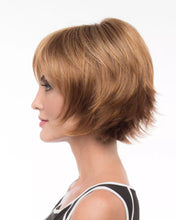 Load image into Gallery viewer, Delaney