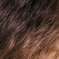 Load image into Gallery viewer, 504 Anemone: Synthetic Wig by WIGPRO Women's Toppers WIGUSA 06GR