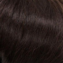 Load image into Gallery viewer, 821 Demi Topper by Wig Pro: Synthetic Hair Piece Synthetic Hair Piece WigUSA 04/06.