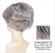 Load image into Gallery viewer, True