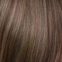 Load image into Gallery viewer, 14 - Honey Blonde