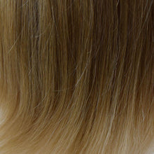 Load image into Gallery viewer, 08/14T - Light Chestnut Brown tipped w/ Honey Blonde