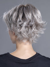 Load image into Gallery viewer, Raise