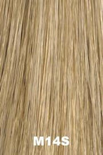 Load image into Gallery viewer, Brad by Ellen Willie HairforMance Wig EllenWille M14S
