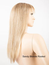 Load image into Gallery viewer, Cher