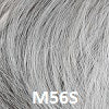 Load image into Gallery viewer, Classic Men's Wigs HAIRUWEAR M56S 90% Grey/Ash Brown