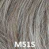 Load image into Gallery viewer, Distinguished Men's Wigs HAIRUWEAR M51S 50% Grey/Light Ash Blonde