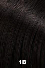 Load image into Gallery viewer, EasiFringe HD 12" Fringe Piece JON RENAU | EASIHAIR 1B