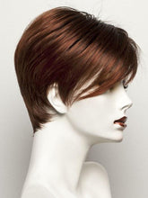 Load image into Gallery viewer, Disc