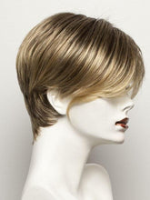 Load image into Gallery viewer, Disc