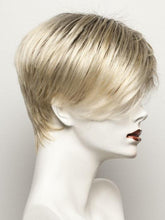 Load image into Gallery viewer, Disc