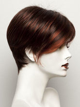 Load image into Gallery viewer, Disc