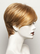 Load image into Gallery viewer, Disc