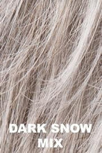 Load image into Gallery viewer, Gala EllenWille Dark Snow Mix