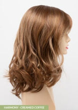 Load image into Gallery viewer, Harmony Envy