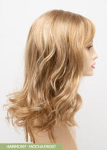 Load image into Gallery viewer, Harmony Envy