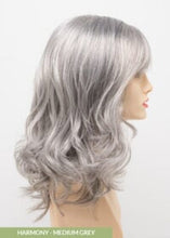 Load image into Gallery viewer, Harmony Envy