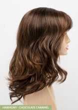 Load image into Gallery viewer, Harmony Envy