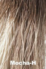 Load image into Gallery viewer, Jackson Wig Aderans