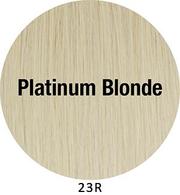 Load image into Gallery viewer, Picture Perfect TressAllure (23R) Platinum Blonde
