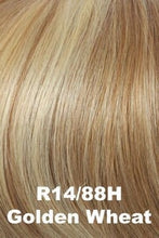 Load image into Gallery viewer, Special Effect Topper HAIRUWEAR Golden Wheat (R14/88H)