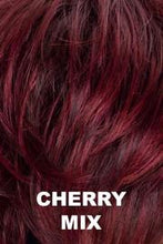 Load image into Gallery viewer, Touch Wig EllenWille Cherry Mix
