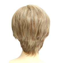 Load image into Gallery viewer, 113 Sunny - Mono Top Machine Back Wig - Human Hair Wig
