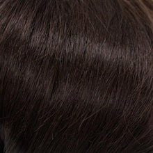 Load image into Gallery viewer, 821 Demi Topper by Wig Pro: Synthetic Hair Piece Synthetic Hair Piece WigUSA 04/06. 

