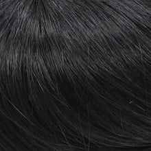 Load image into Gallery viewer, 313B H Add-on, 2 clips by WIGPRO: Human Hair Piece
