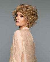 Load image into Gallery viewer, 113 Sunny - Mono Top Machine Back Wig - Human Hair Wig
