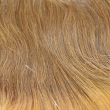 Load image into Gallery viewer, BA855 Halo: Bali Synthetic Hair Pieces Bali Hair Piece WigUSA 14/16T 
