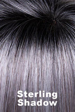 Load image into Gallery viewer, Bobbi Women&#39;s Wigs Envy Sterling Shadow(SSH) 
