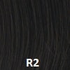 Boost Wig HAIRUWEAR Ebony (R2) 