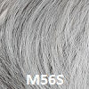 Load image into Gallery viewer, Daring Men&#39;s Wigs HAIRUWEAR M56S 90% Grey/Ash Brown 
