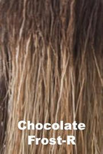 Load image into Gallery viewer, Jackson Wig Aderans Chocolate Frost-R 

