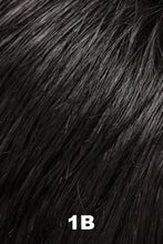 Load image into Gallery viewer, Parker Wig JON RENAU | EASIHAIR 1B 
