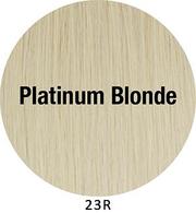 Load image into Gallery viewer, Picture Perfect TressAllure (23R) Platinum Blonde 
