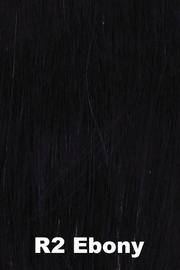 Sparkle Wig HAIRUWEAR Ebony (R2) 