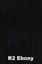 Load image into Gallery viewer, Star Quality Wigs HAIRUWEAR Ebony (R2) 
